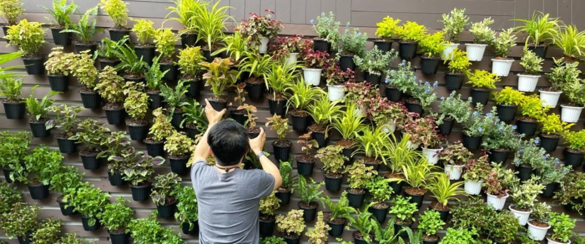 Companion Planting for Vertical Gardens