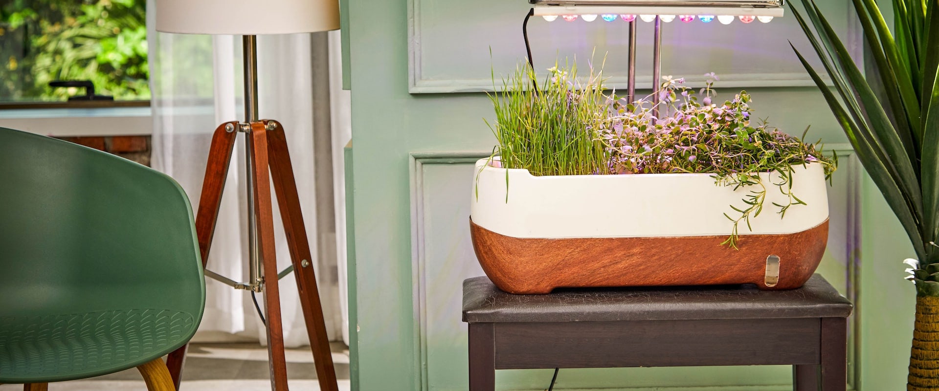 Exploring LED Grow Lights: Maximizing Your Hydroponic Garden