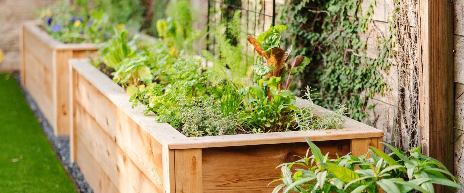Hanging Baskets and Planters: How to Create a Vertical Hydroponic Garden