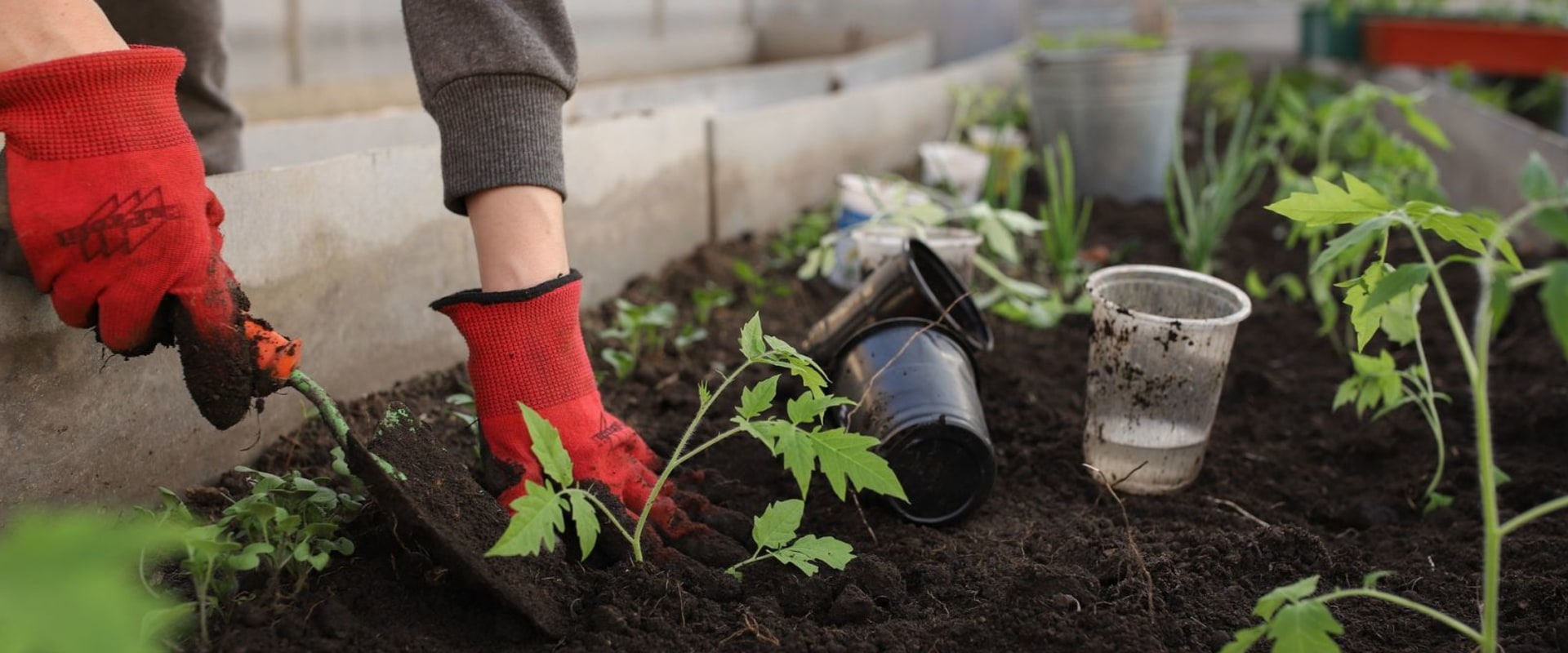 Limited Space and Soil Quality: The Ultimate Guide for Hydroponic Urban Farming