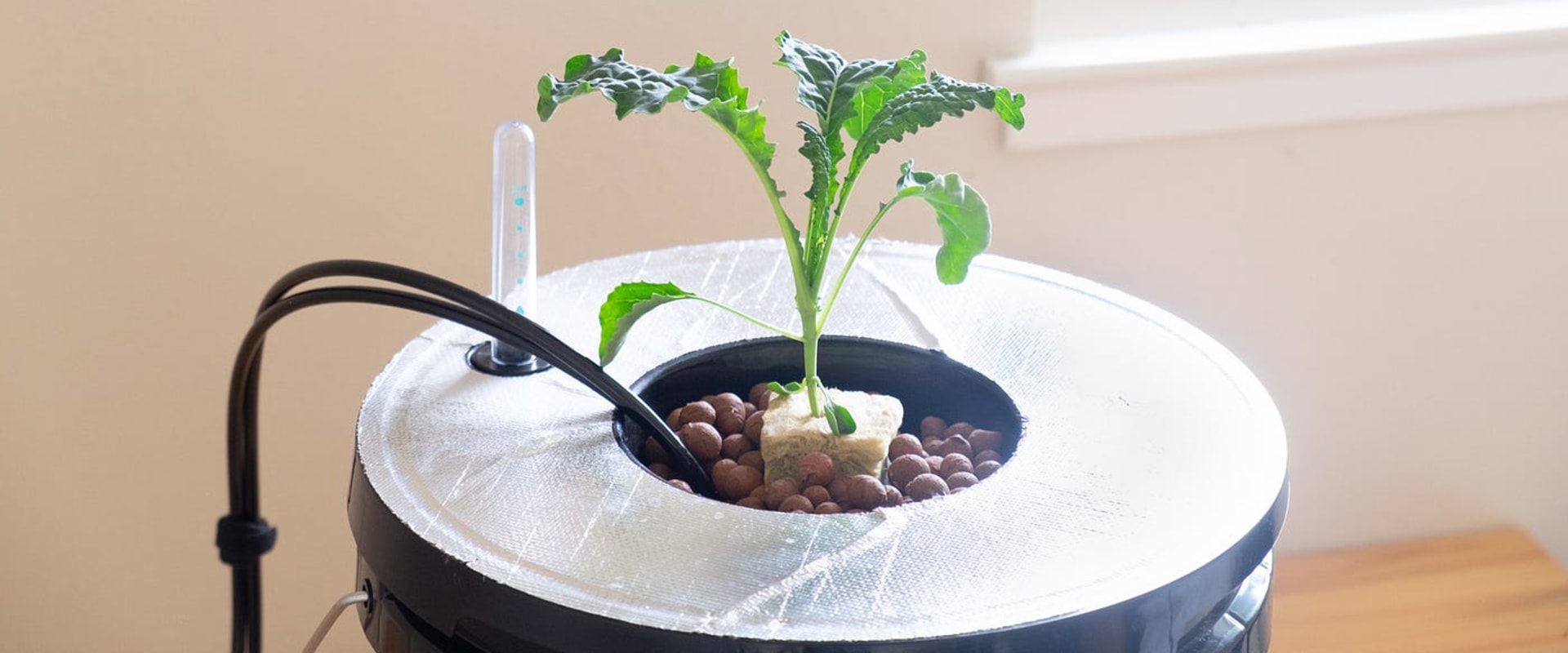 Air Pumps and Oxygenation in Hydroponics: Providing Essential Nutrients for Your Plants