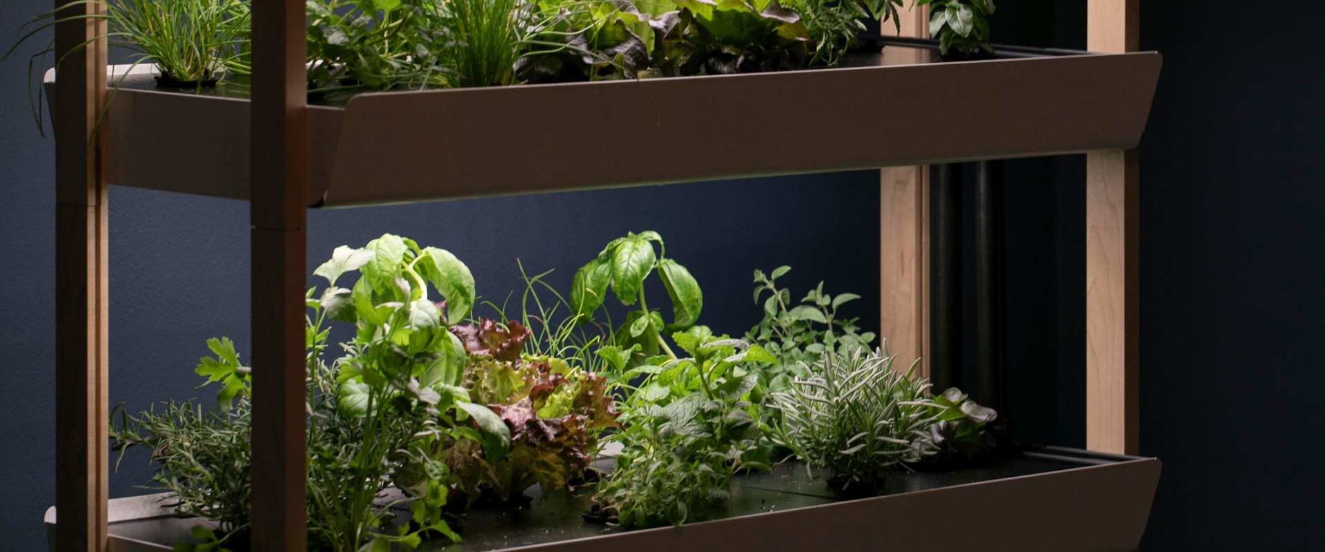 How to Create Stunning Stacked Container Gardens for Urban Hydroponic Gardening