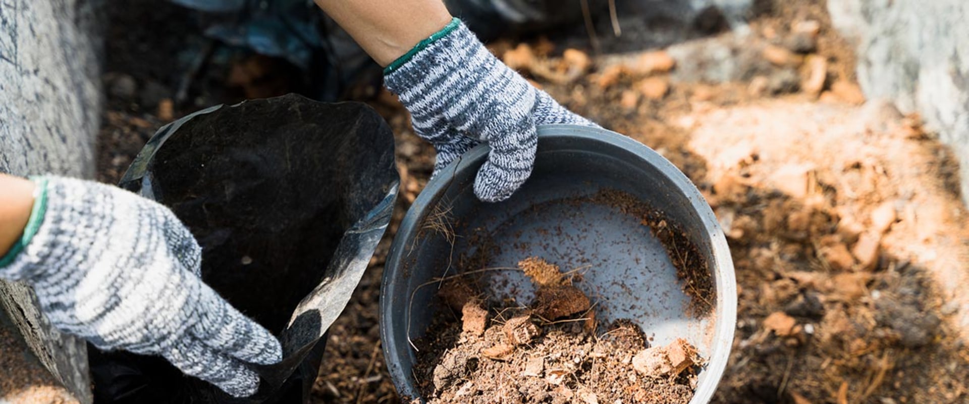 Exploring the Benefits of Coco Coir and Peat Moss for Hydroponics