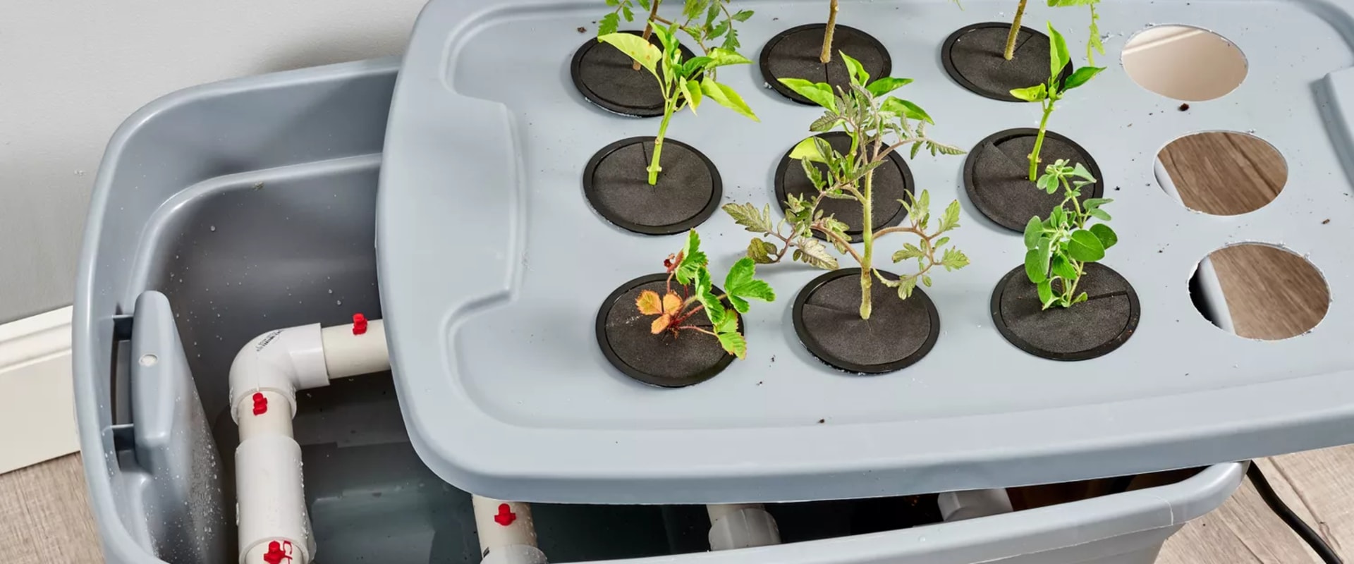 How to Improve Your Hydroponic Garden's Air Circulation and Pest Management