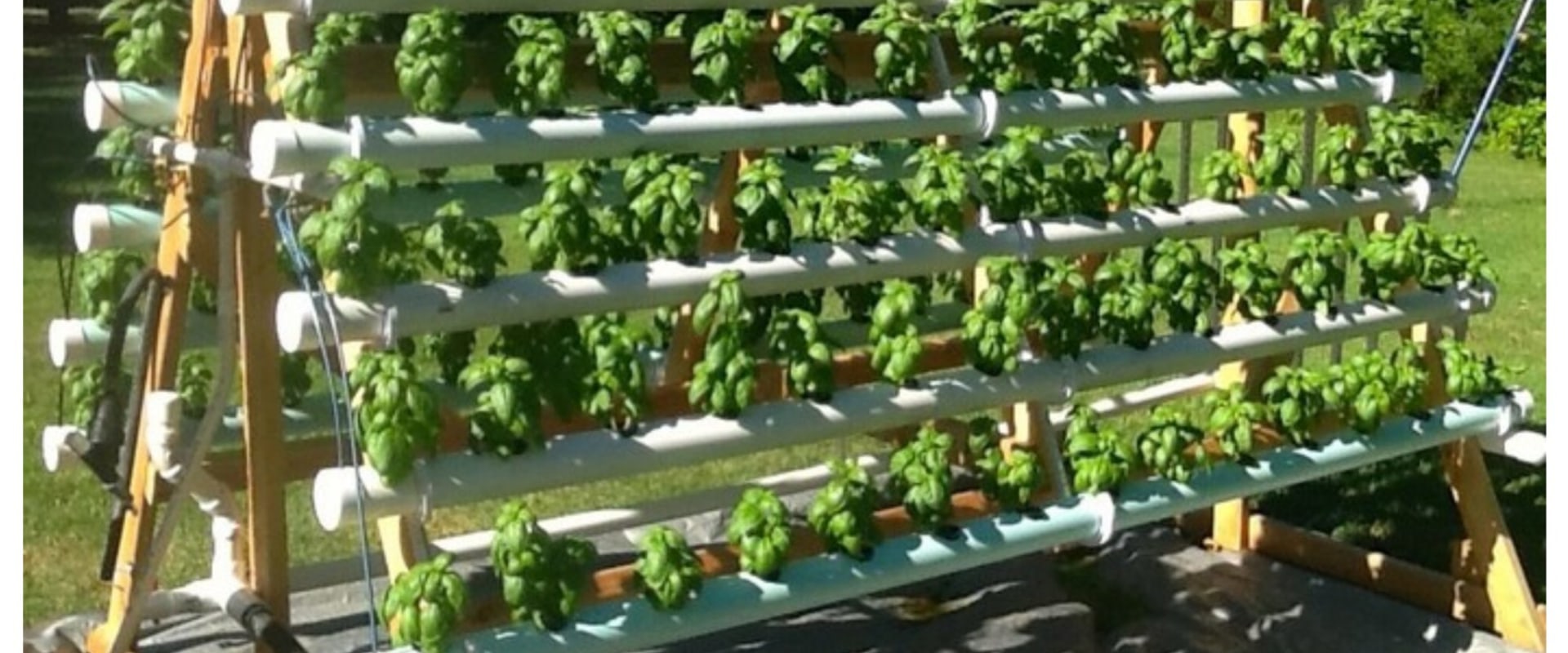Maximizing Space in Small Areas Using Hydroponics Techniques