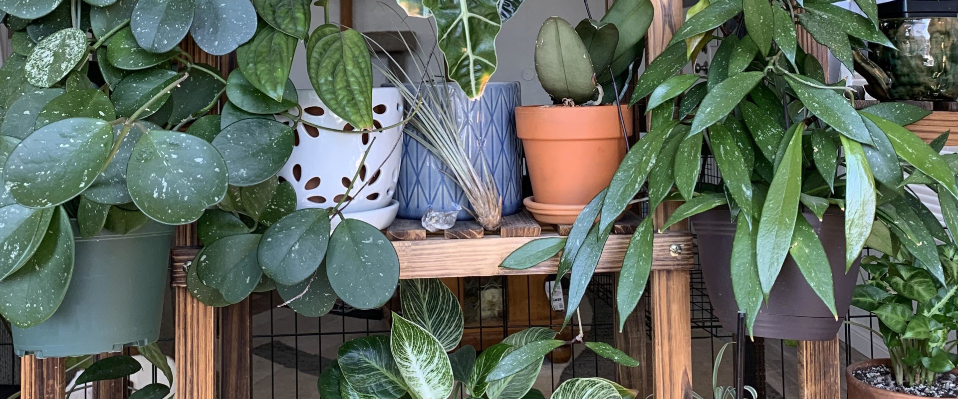 Replacing Bulbs and Troubleshooting Issues for Hydroponic Grow Lights