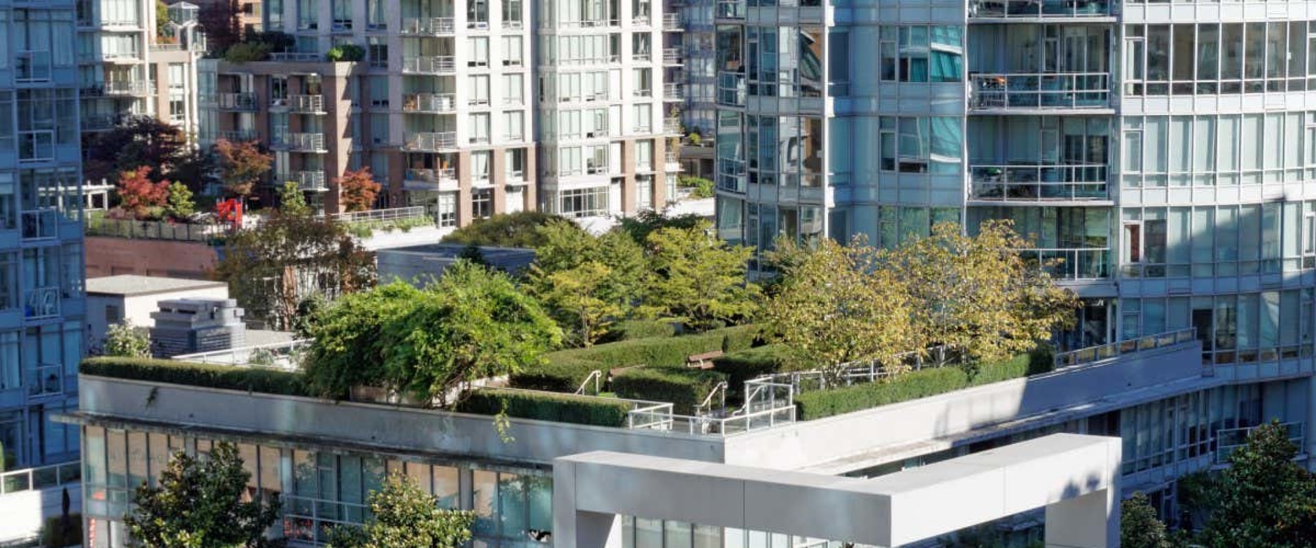 Living Walls and Green Roofs: The Ultimate Guide to Urban Hydroponic Gardening