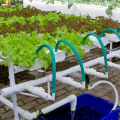 Ebb and Flow: The Ultimate Guide to Hydroponic Gardening