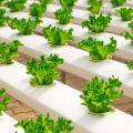 Micronutrients for Hydroponic Gardening
