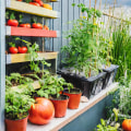 Reducing Food Transportation Costs: A Guide for Hydroponic Urban Gardeners