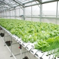 High-Tech Automated Systems for Hydroponic Gardening