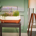 Exploring LED Grow Lights: Maximizing Your Hydroponic Garden