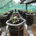Energy Efficiency and Cost: A Comprehensive Guide to Hydroponic Gardening