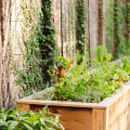 Hanging Baskets and Planters: How to Create a Vertical Hydroponic Garden