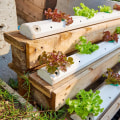 Budget-Friendly Options for Your Hydroponic Garden