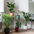 Suitable Plants for Different Environments