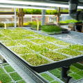 Community Building and Food Security: How Urban Farming and Hydroponics Can Improve Your Community