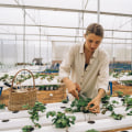 Using Timers for Automated Watering: How to Optimize Your Hydroponic Garden