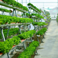Reducing Strain on Back and Knees: The Ultimate Guide for Hydroponic Vertical Gardening