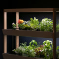 How to Create Stunning Stacked Container Gardens for Urban Hydroponic Gardening
