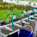 How to Set Up a Drip System for Hydroponic Gardening