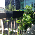 Rooftop and balcony gardening: How to Grow Your Own Urban Hydroponic Garden