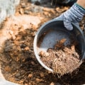 Exploring the Benefits of Coco Coir and Peat Moss for Hydroponics