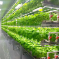 Water and Energy Conservation: Sustainable Solutions for Urban Farming