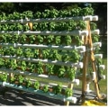 Maximizing Space in Small Areas Using Hydroponics Techniques