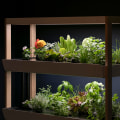Hydroponic Systems for Small Spaces: Maximize Your Indoor Gardening Potential