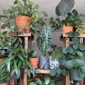 Replacing Bulbs and Troubleshooting Issues for Hydroponic Grow Lights
