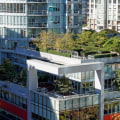 Living Walls and Green Roofs: The Ultimate Guide to Urban Hydroponic Gardening