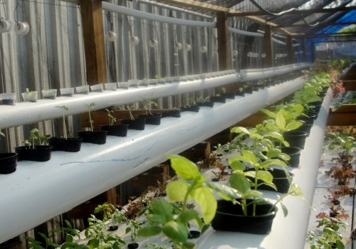 Recirculating vs. Non-Recirculating Systems: Which is Best for Your Hydroponic Garden?