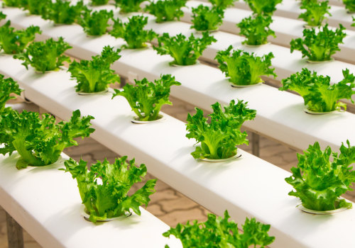 Micronutrients for Hydroponic Gardening