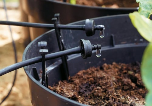 A Beginner's Guide to Setting Up an Irrigation System for Hydroponic Gardening