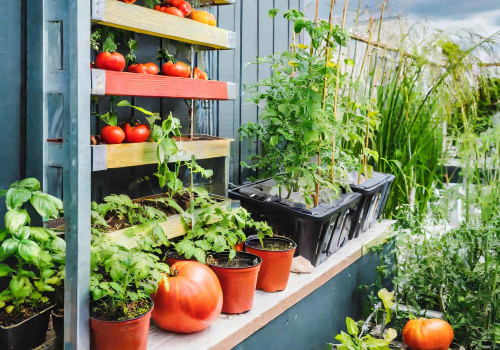 Reducing Food Transportation Costs: A Guide for Hydroponic Urban Gardeners