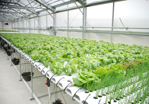 High-Tech Automated Systems for Hydroponic Gardening