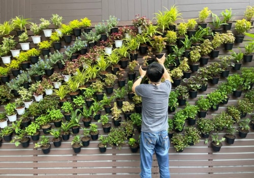 Companion Planting for Vertical Gardens