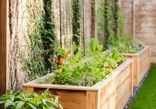 Best Plants for Vertical Growth: Maximize Your Hydroponic Garden