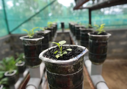 Energy Efficiency and Cost: A Comprehensive Guide to Hydroponic Gardening