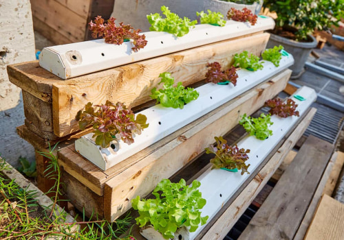 Budget-Friendly Options for Your Hydroponic Garden