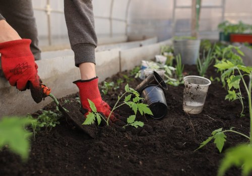 Limited Space and Soil Quality: The Ultimate Guide for Hydroponic Urban Farming