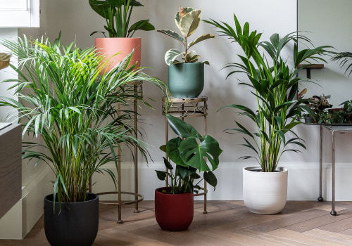 Suitable Plants for Different Environments