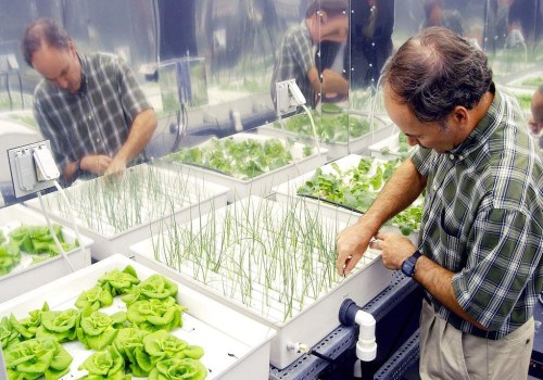 Best organic nutrients for hydroponics: A Comprehensive Guide