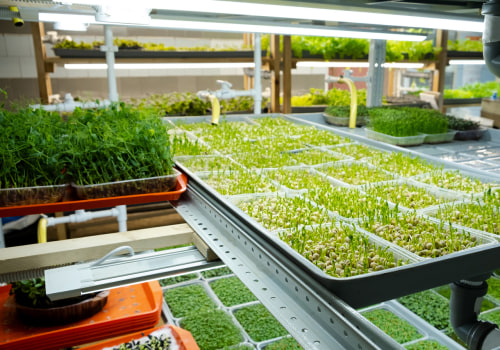 Community Building and Food Security: How Urban Farming and Hydroponics Can Improve Your Community