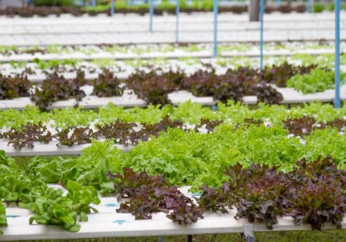 All About Wick Systems: The Ultimate Guide to Hydroponic Gardening