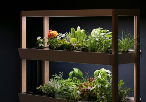 How to Create Stunning Stacked Container Gardens for Urban Hydroponic Gardening