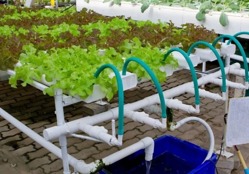 How to Set Up a Drip System for Hydroponic Gardening