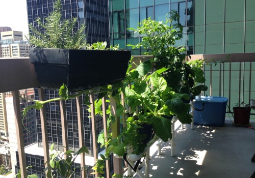 Rooftop and balcony gardening: How to Grow Your Own Urban Hydroponic Garden