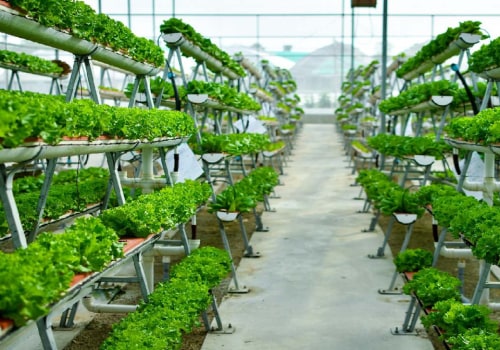 All You Need to Know About Vertical Hydroponic Systems